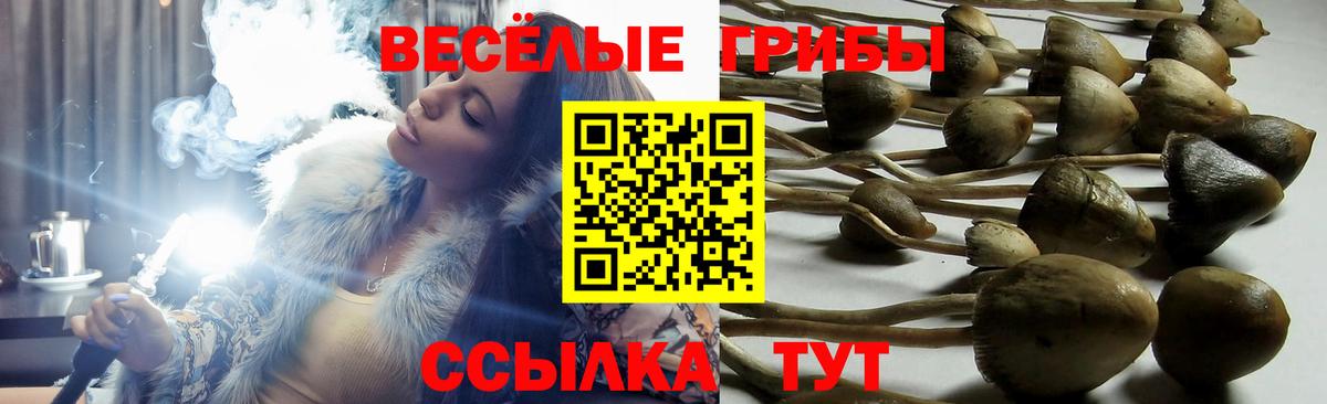 Псилоцибиновые грибы прущие грибы  Вход с VPN  Зеленокумск 